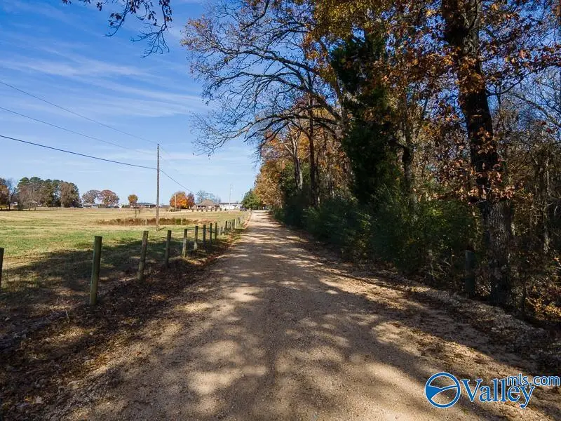 7.62 Acres County Road 399, Killen, AL 35645 - Image #2