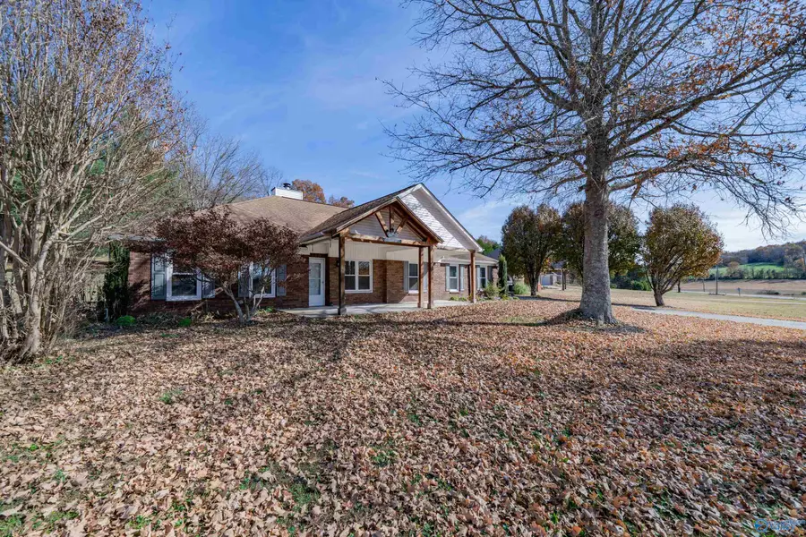 973 Hurricane Road, New Market, AL 35761 - Image #2