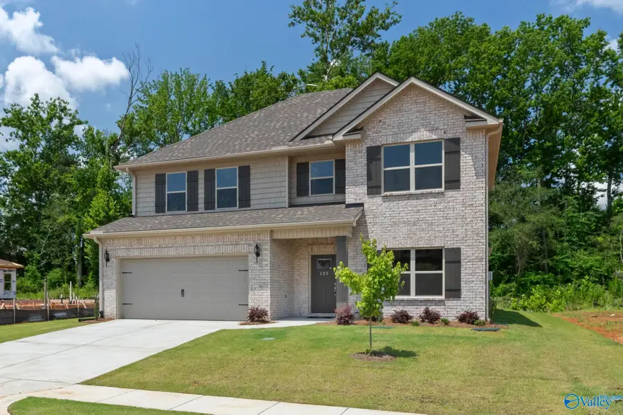 135 Hillis Lane, Hazel Green, AL 35750 - Image #3