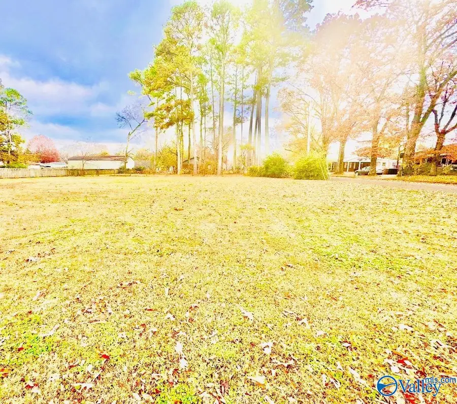 1505 8th Street, Decatur, AL 36601 - Image #2