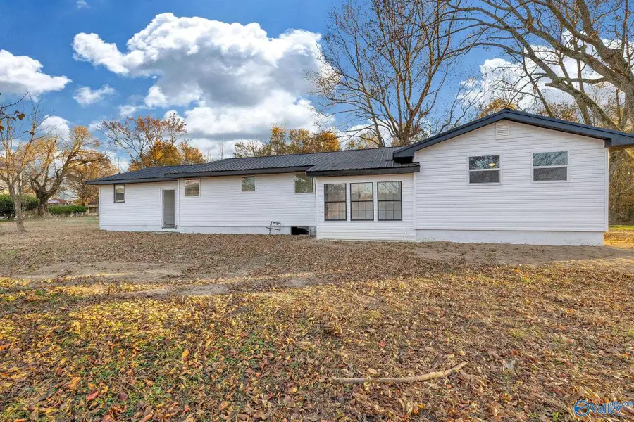 1681 Lena Road, Horton, AL 35980 - Image #3