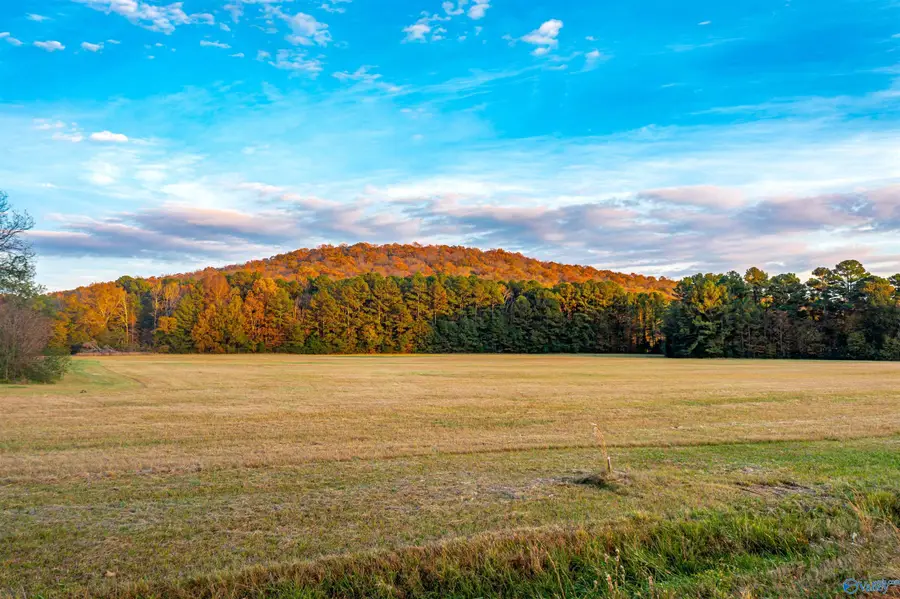 20 Six Mile Road, Somerville, AL 35670 - Image #2