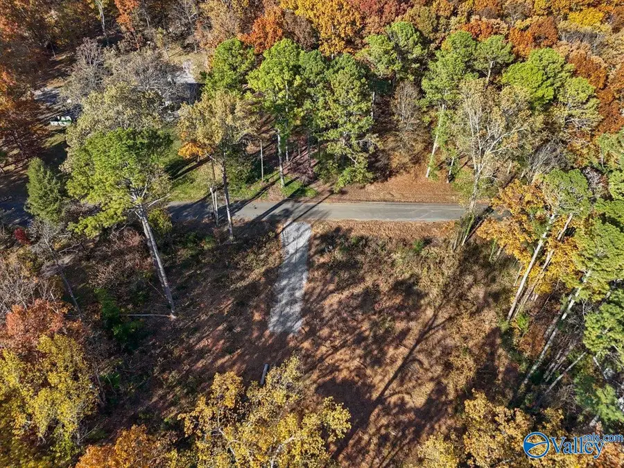 234 Brentwood Lane, Madison, AL 35758 - Image #2