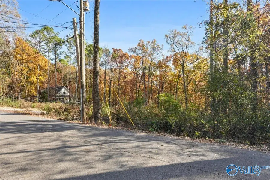 244 Brentwood Lane, Madison, AL 35758 - Image #2