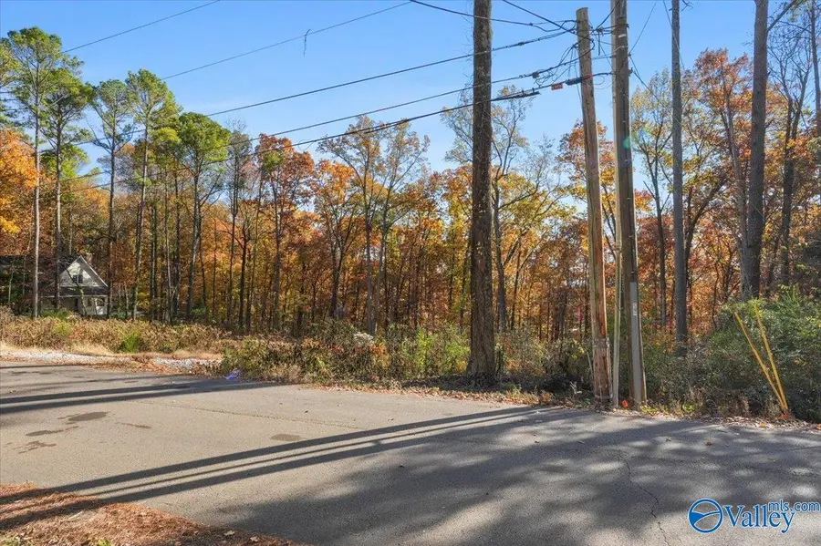 244 Brentwood Lane, Madison, AL 35758 - Image #3