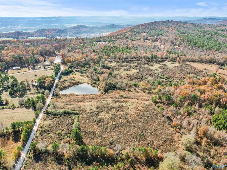 31 acres Beagle Road, Boaz, AL 35956 - Image #2