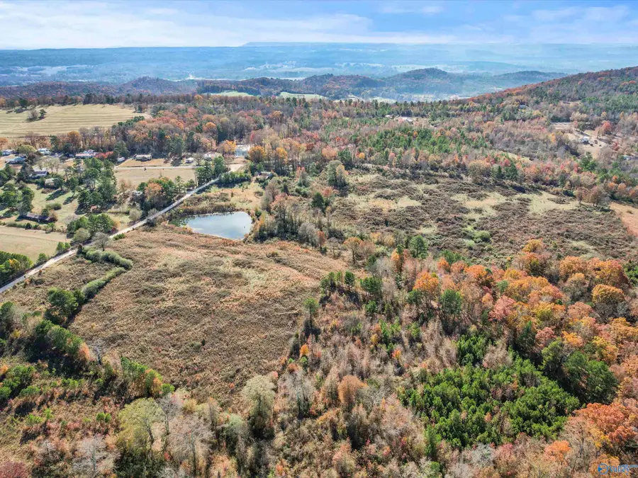 31 acres Beagle Road, Boaz, AL 35956 - Image #3