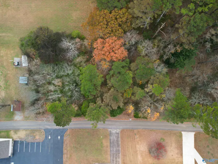 144 Deaton Road Se, Owens Cross Roads, AL 35763 - Image #2