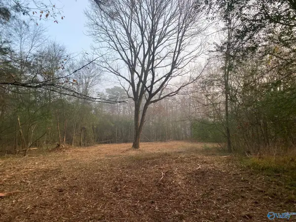 4+/- Acres Mount Carmel Drive, Guntersville, AL 35976