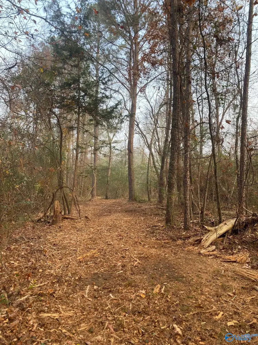 4+/- Acres Mount Carmel Drive, Guntersville, AL 35976 - Image #2