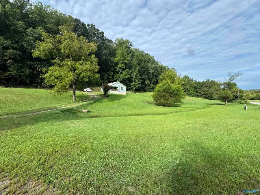 1091 Rocky Hollow Road, Blountsville, AL 35031 - Image #2