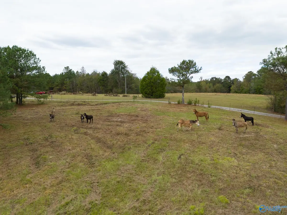 232 Kenny Clay Road, Somerville, AL 35670 - Image #1