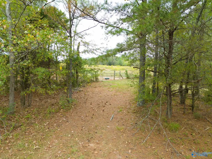 232 Kenny Clay Road, Somerville, AL 35670 - Image #2