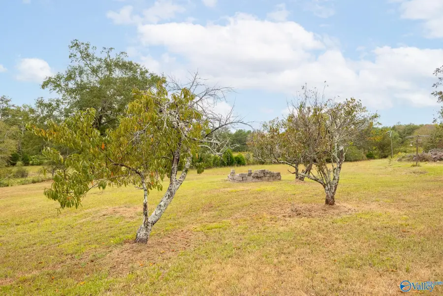 232 Kenny Clay Road, Somerville, AL 35670 - Image #3