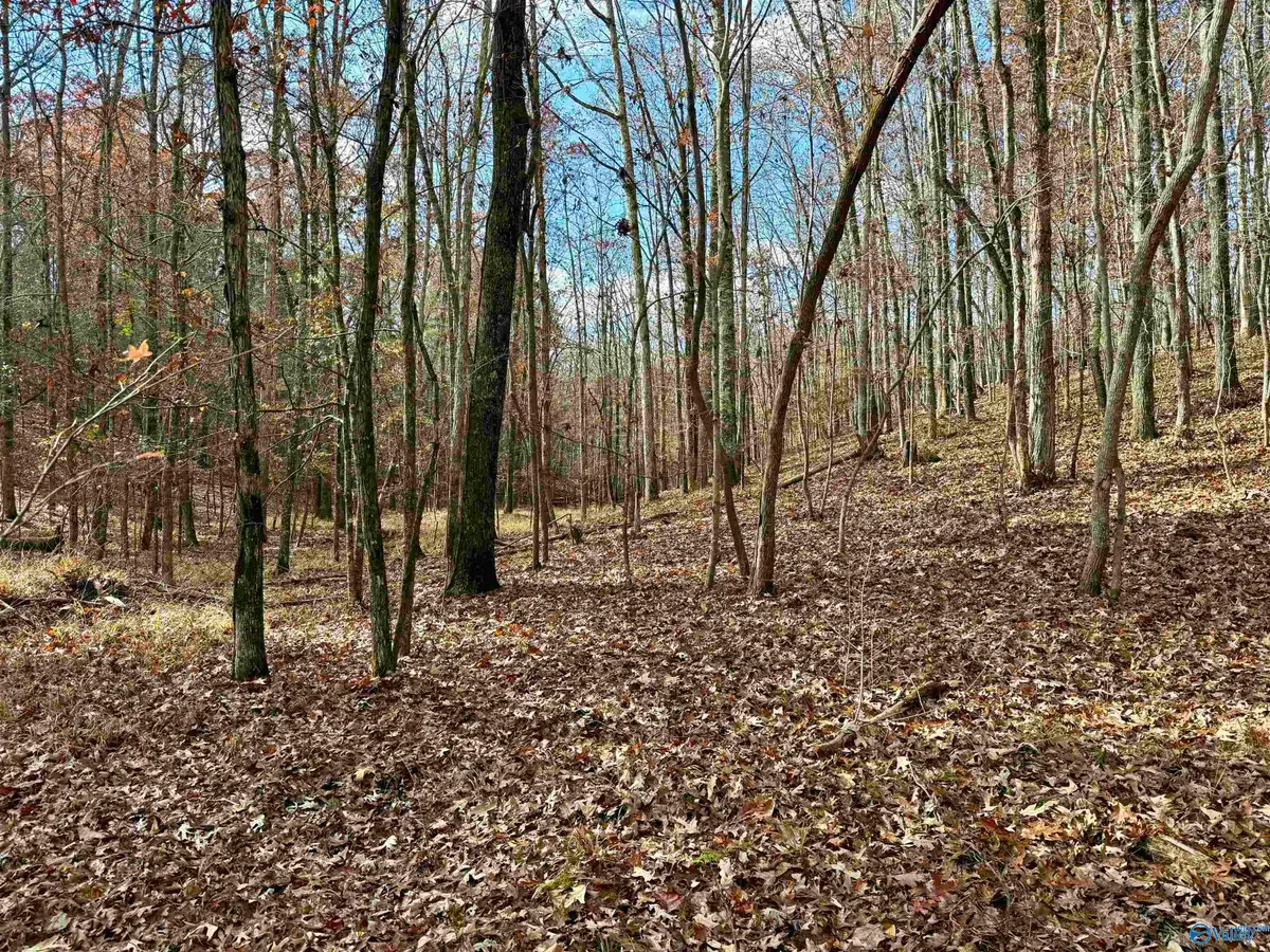 1 County Road 137, Cedar Bluff, AL 35959 - Image #1