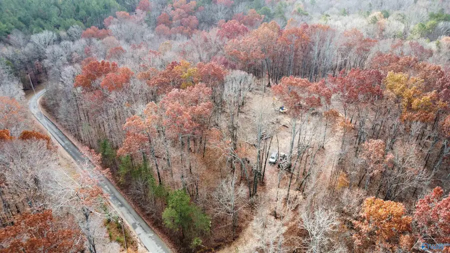1 County Road 137, Cedar Bluff, AL 35959 - Image #3