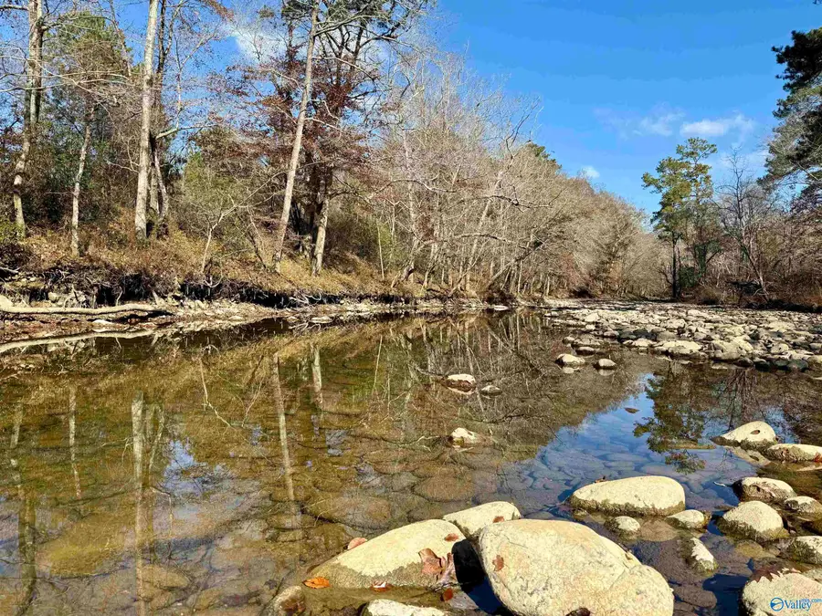 3 County Road 137 #504549, Cedar Bluff, AL 35959 - Image #2