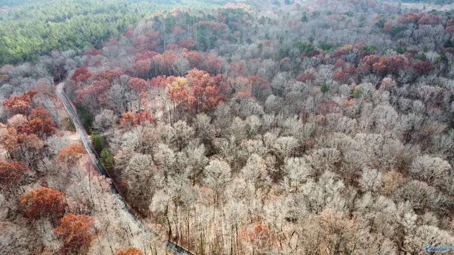 3 County Road 137 #504549, Cedar Bluff, AL 35959 - Image #3