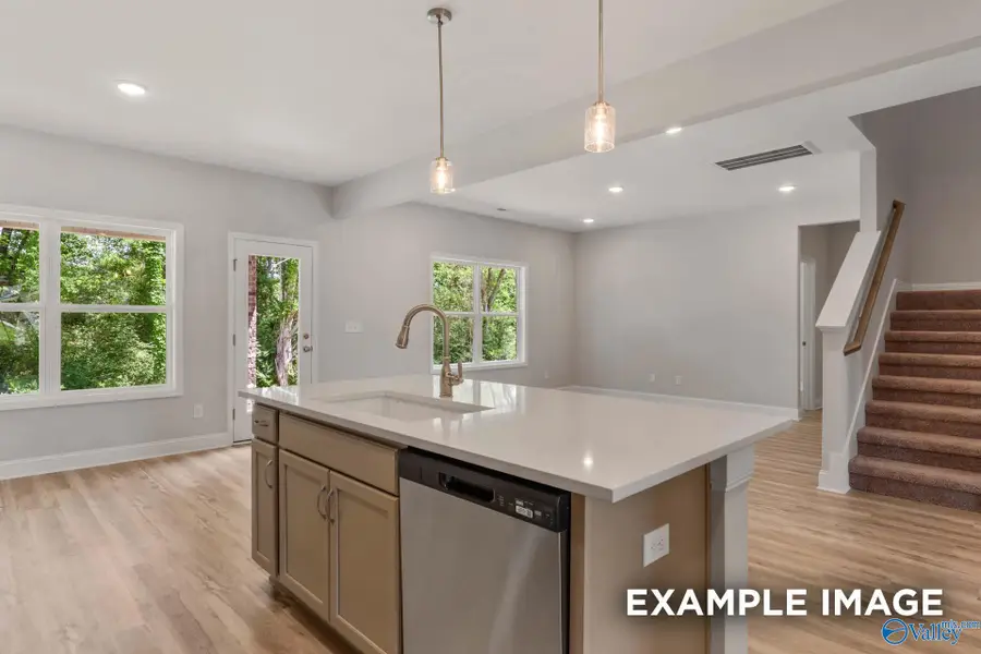 204 Irish Hill Drive, Meridianville, AL 35759 - Image #2