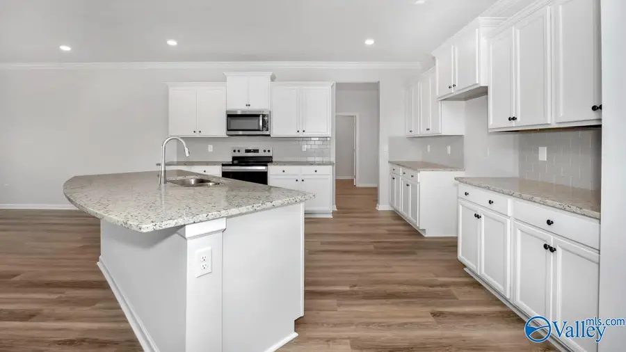 8510 Sophia Nicolle Court Se, Gurley, AL 35748 - Image #2