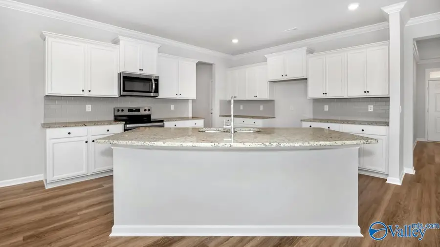 8510 Sophia Nicolle Court Se, Gurley, AL 35748 - Image #3