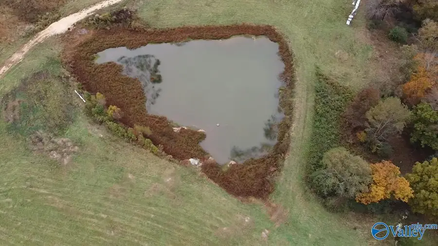 13.9 Acres County Road 429, Fyffe, AL 35971 - Image #2