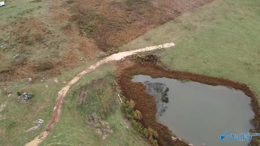 13.9 Acres County Road 429, Fyffe, AL 35971 - Image #3