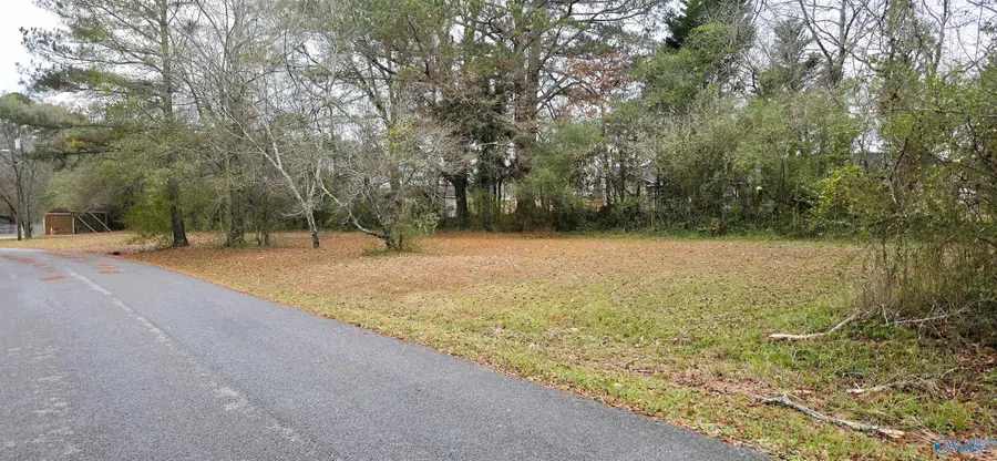0.40 Dale Drive, Glencoe, AL 35905 - Image #2