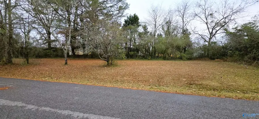 0.40 Dale Drive, Glencoe, AL 35905 - Image #3