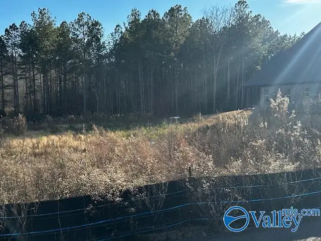 Lot 118 Cherokee Ridge Drive, Cherokee Ridge, AL 35175 - Image #1