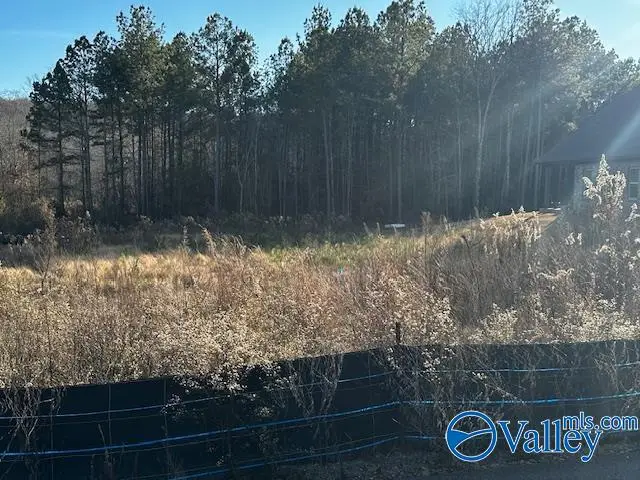 Lot 118 Cherokee Ridge Drive, Cherokee Ridge, AL 35175 - Image #2
