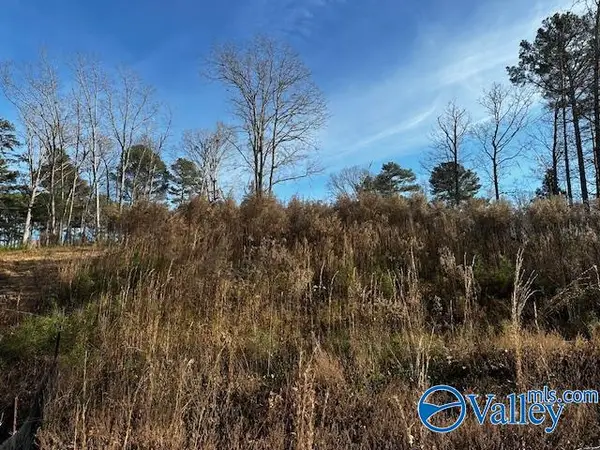 Lot 226 Woodmont Drive, Cherokee Ridge, AL 35175