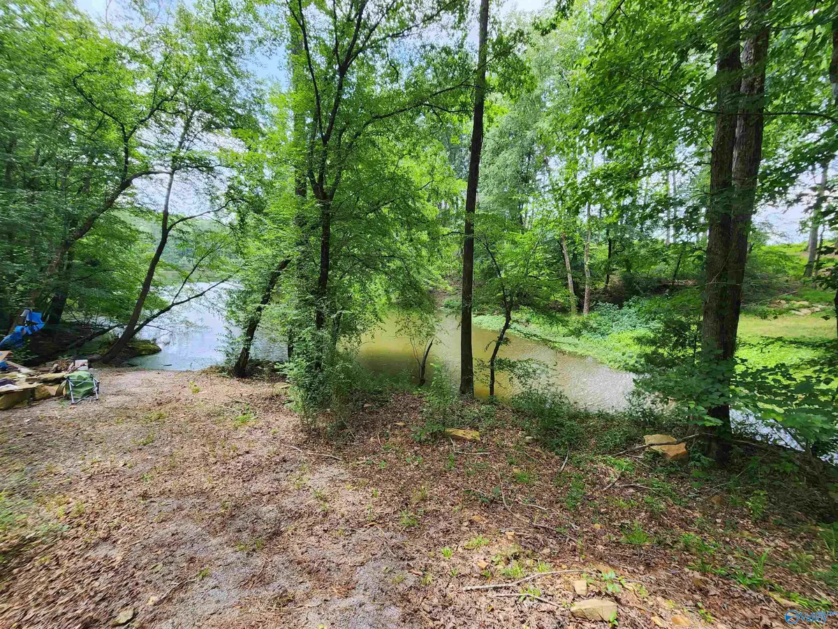 Lot#7 County Road 949, Crane Hill, AL 35053 - Image #1