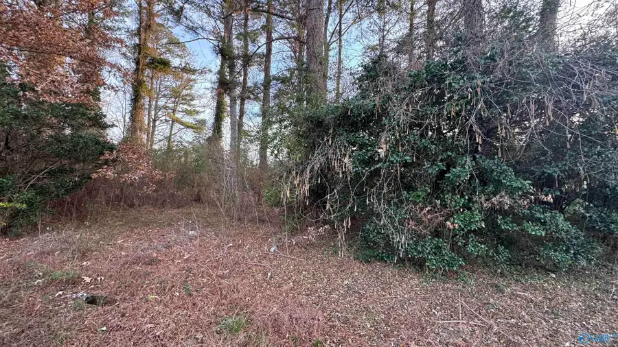 Address Withheld By Seller, Rainbow City, AL 35906 - Image #2