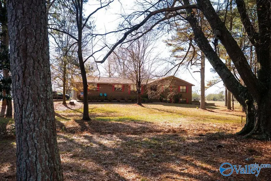 379 County Road 246, Geraldine, AL 35974 - Image #2