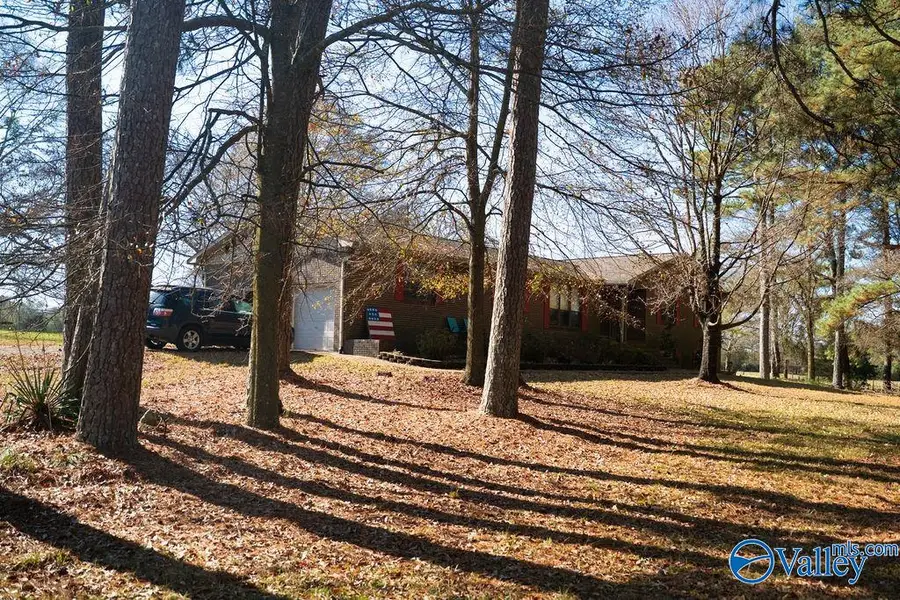 379 County Road 246, Geraldine, AL 35974 - Image #3