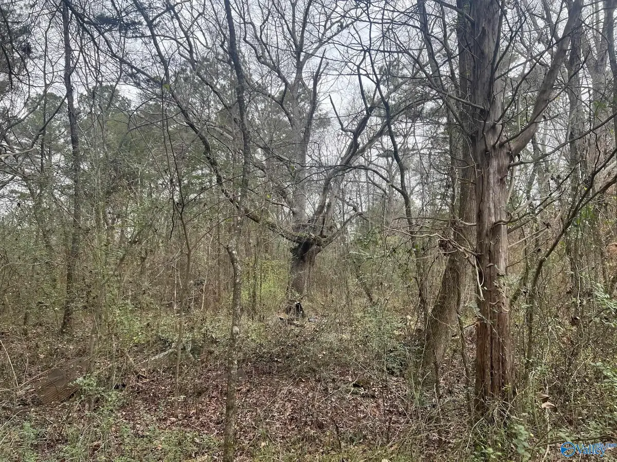 123 Hitt Road, Decatur, AL 35603 - Image #1