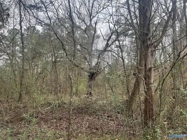 123 Hitt Road, Decatur, AL 35603