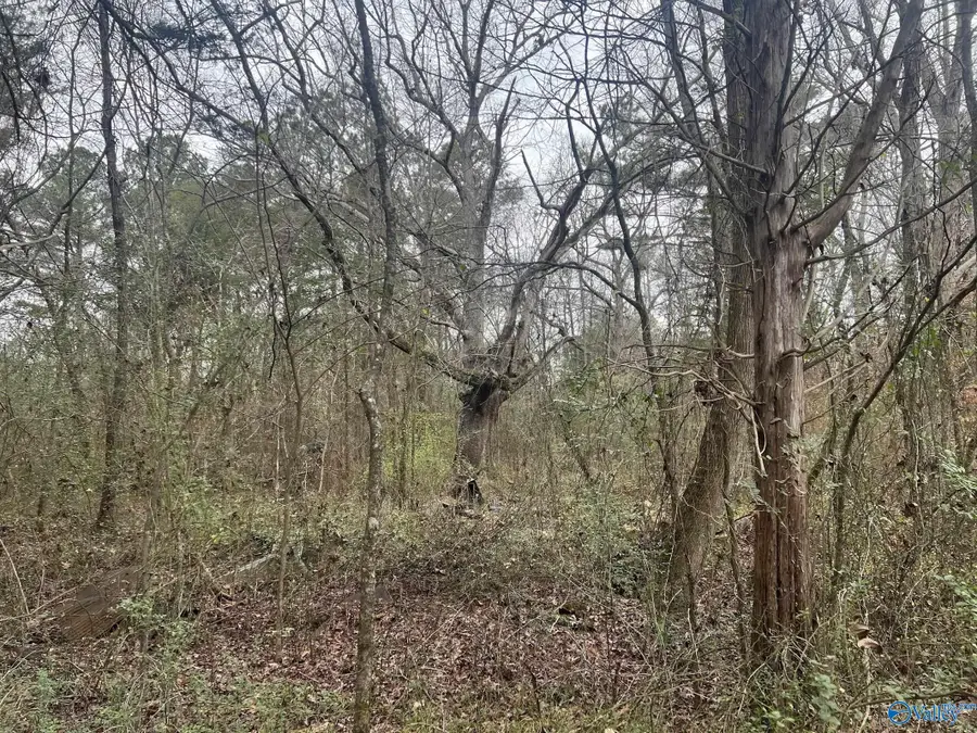 123 Hitt Road, Decatur, AL 35603 - Image #2