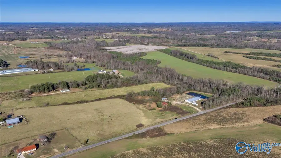 1462 County Road 407, Pisgah, AL 35765 - Image #3