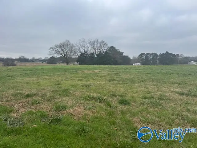 TRACT 8 Alabama Highway 99, Elkmont, AL 35620 - Image #3