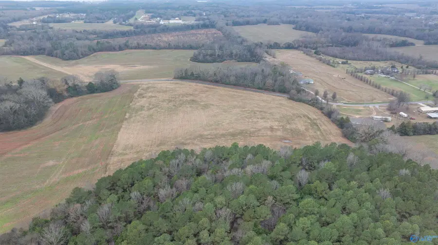 26 Acres Cooper Road, Rogersville, AL 35652 - Image #3