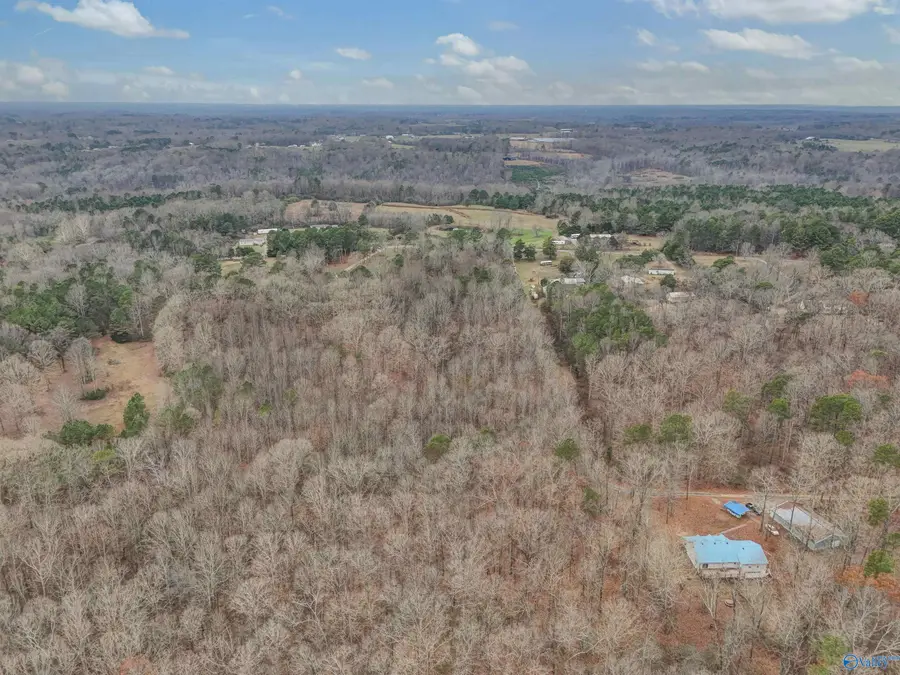 5.5 County Road 1224, Vinemont, AL 35179 - Image #3