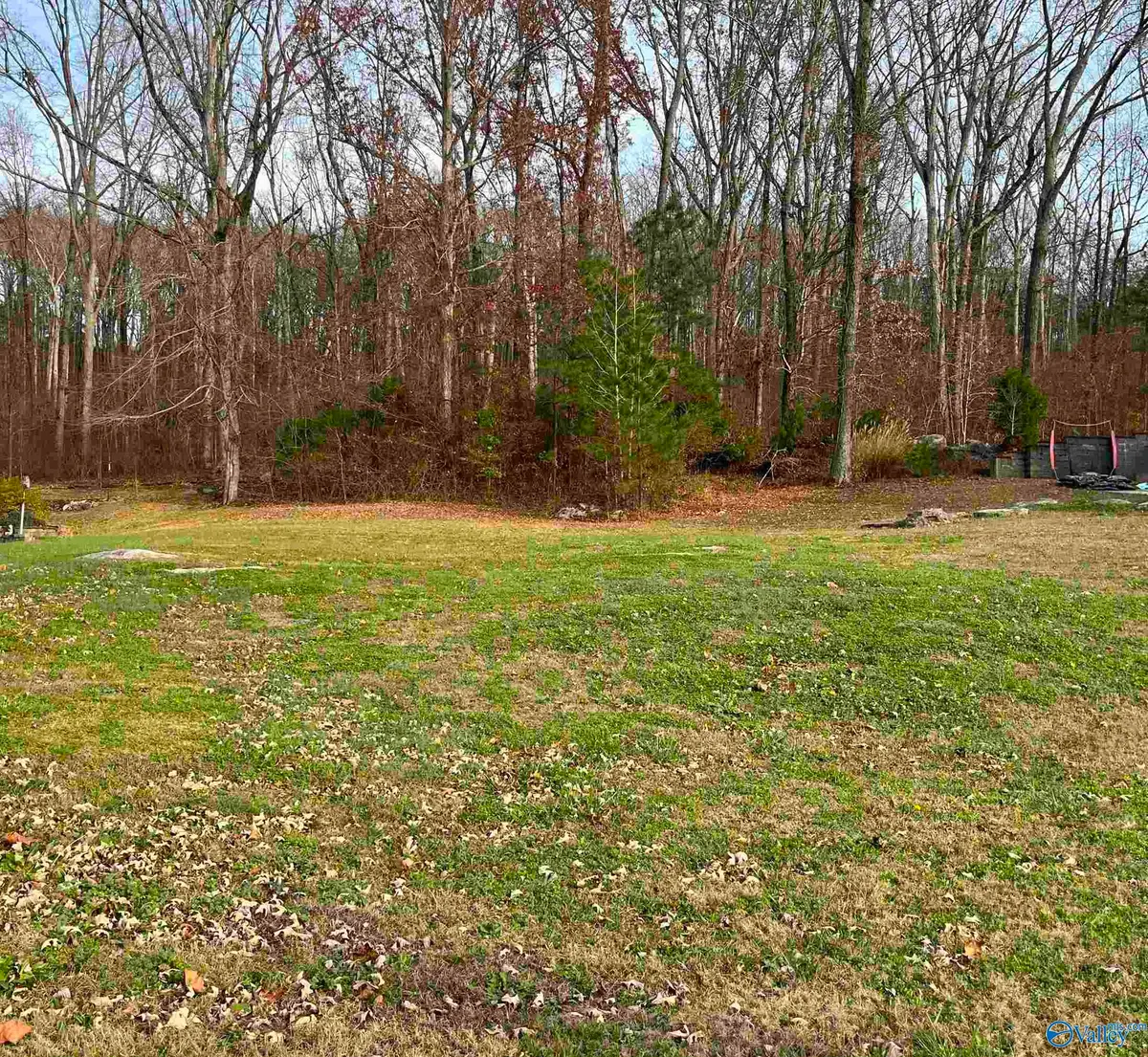 105 Amber Way, Decatur, AL 35603 - Image #1