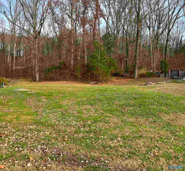 105 Amber Way, Decatur, AL 35603