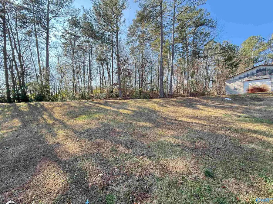 633 Littleton Cutoff, Attalla, AL 35954 - Image #3