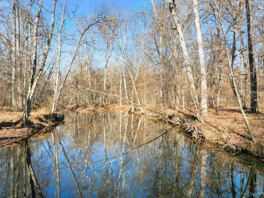 343 Mccutcheon Lane, Toney, AL 35773 - Image #3