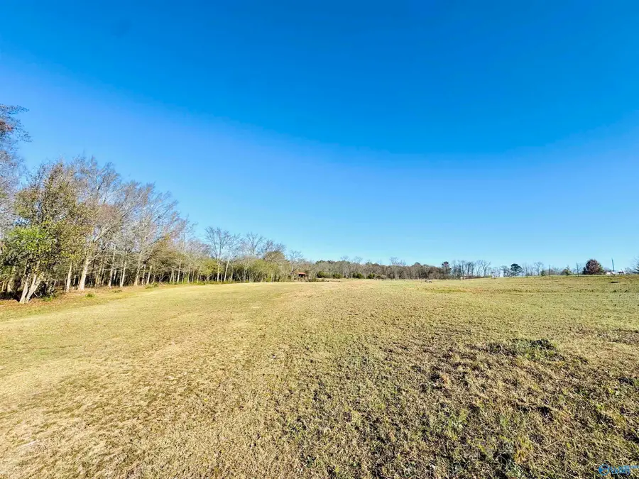 627 Neel School Road, Danville, AL 35619 - Image #3