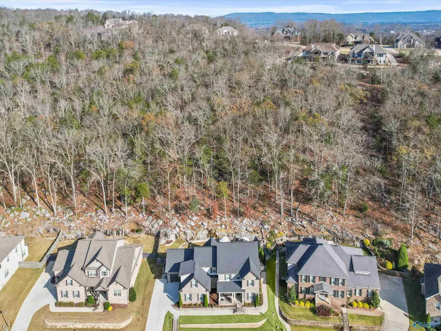 7063 Pale Dawn Place, Owens Cross Roads, AL 35763 - Image #3