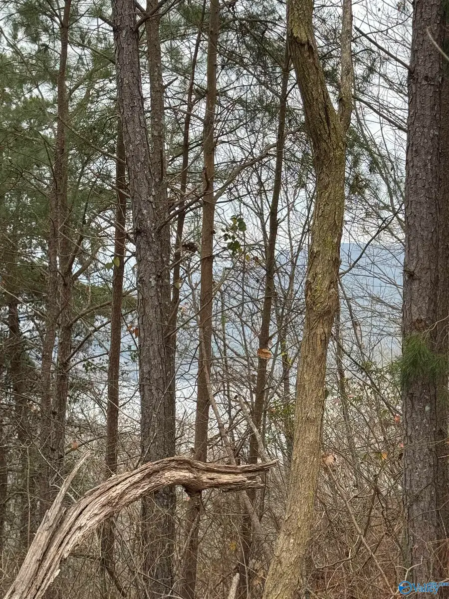 1960 County Road 223, Dutton, AL 35744 - Image #2